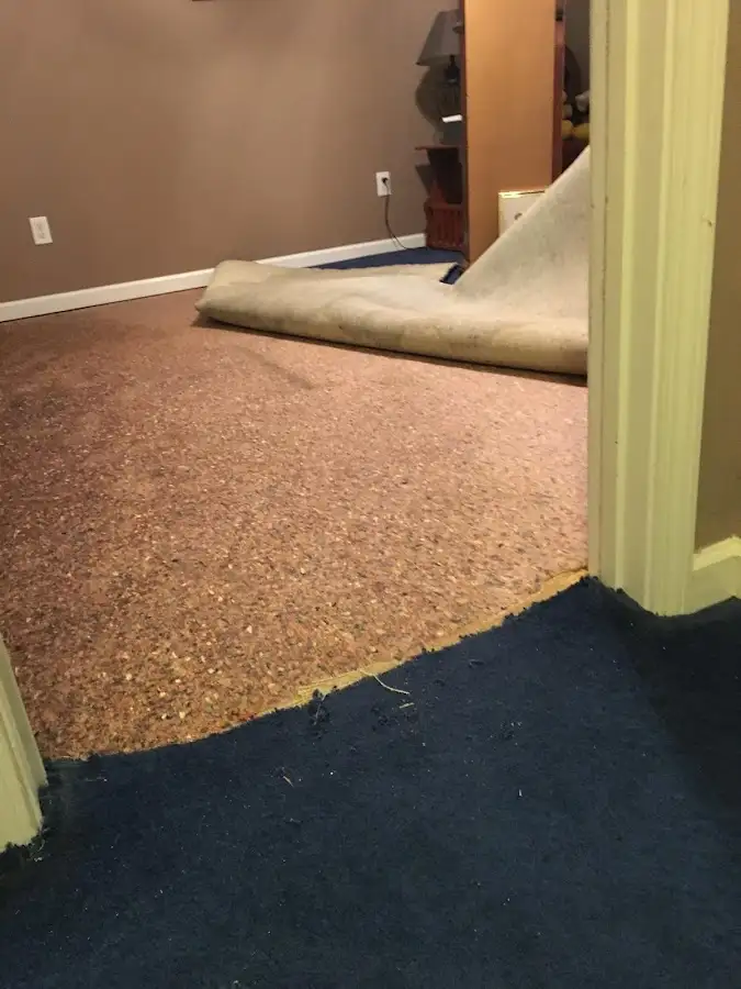Carpet pad removal revealing water damage during Water Mitigation Services in Hollis